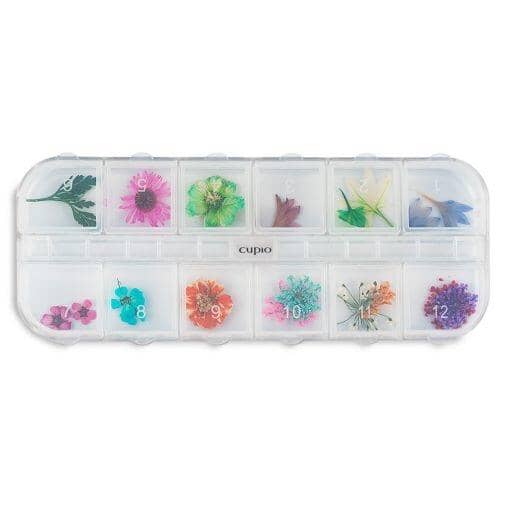 Cupio Flori Naturale set 12 Voguish Cupio 